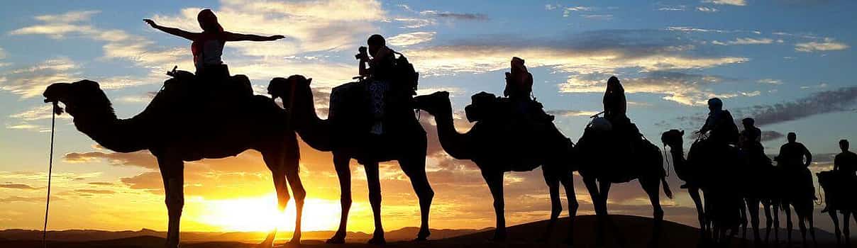 Photo 1 Sunset Camel Ride in Palmeraie