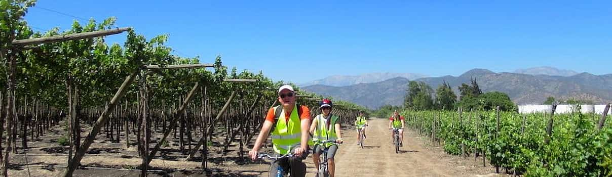 Foto 1 Ruta privada en bicicleta por una espectacular ciudad vinícola