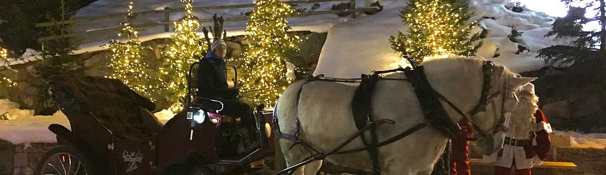 Photo 1 Carriage Ride in Courchevel