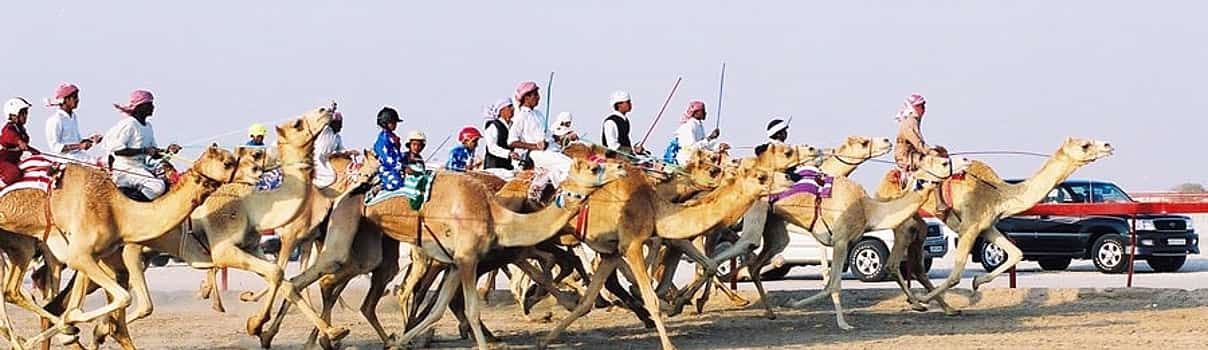 Foto 1 Visita al Museo del Jeque Faisal, hipódromo de camellos y club ecuestre