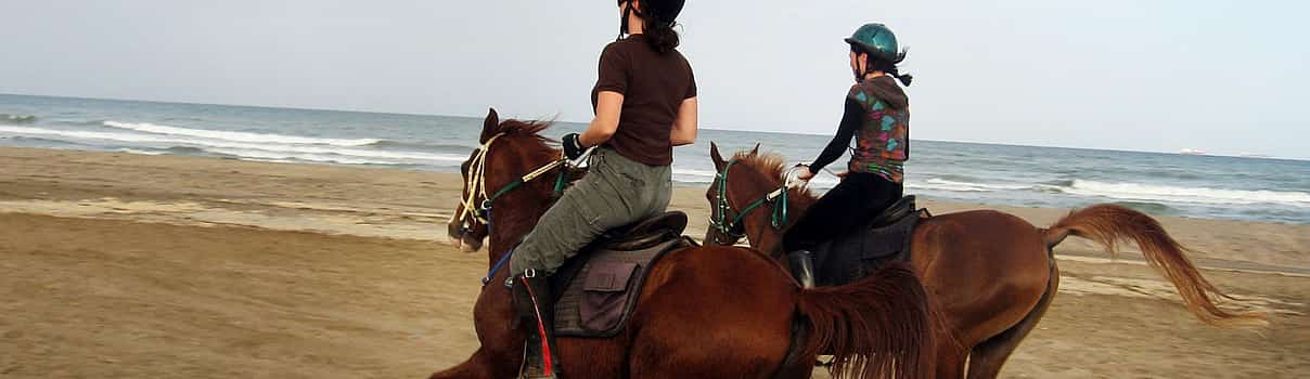 Photo 1 Horse Riding in Oman