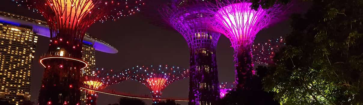 Photo 1 Evening Gardens by the Bay Private Walking Tour