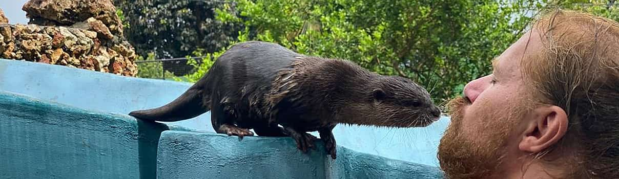 Photo 1 Amazing Otter Experience