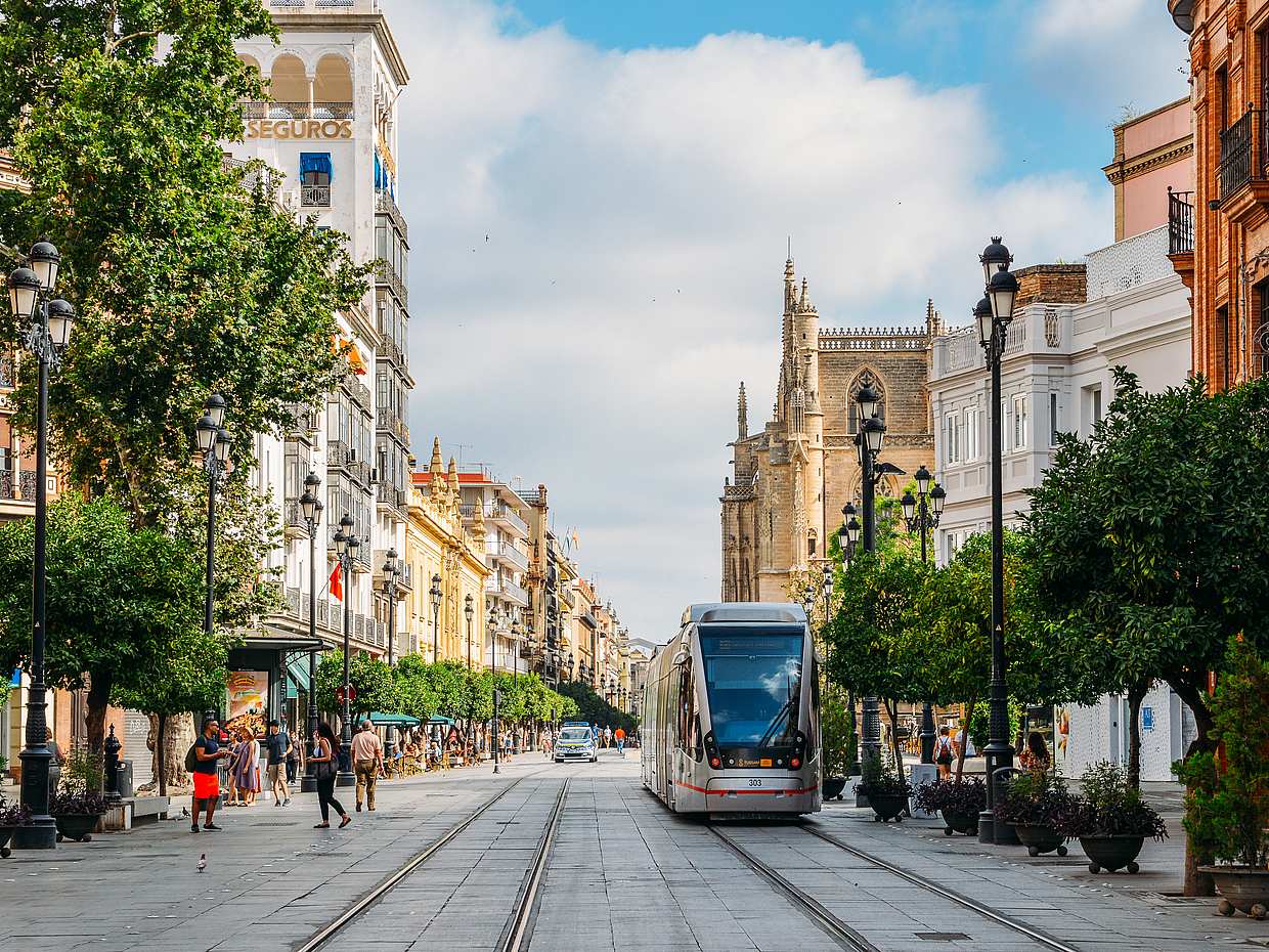 Visita guiada a pie por el centro de Sevilla, photo 3