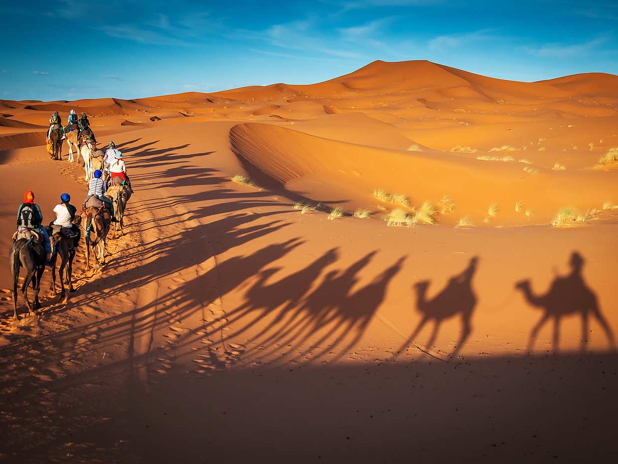 Safari nocturno por el desierto con paseo en quad y fotografía de halcones, photo 4