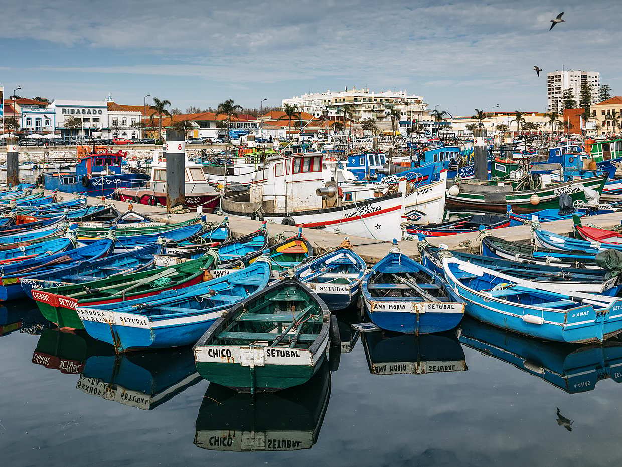 Experiencia de Comida Tradicional de Pescadores en Portugal, Lisboa.
