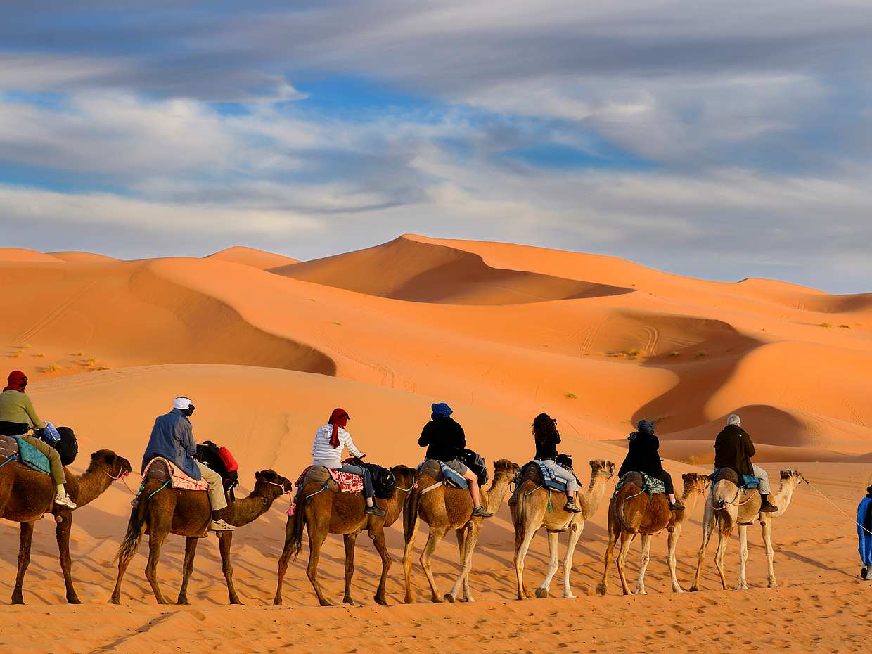 Safari nocturno por el desierto, photo 4