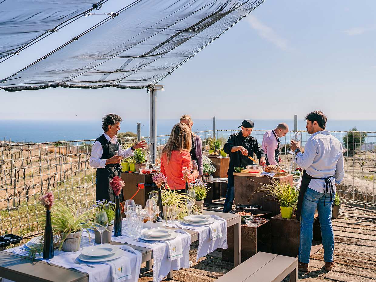 Paella Cooking Experience with Sea View & Winery Tour from Barcelona, photo 3