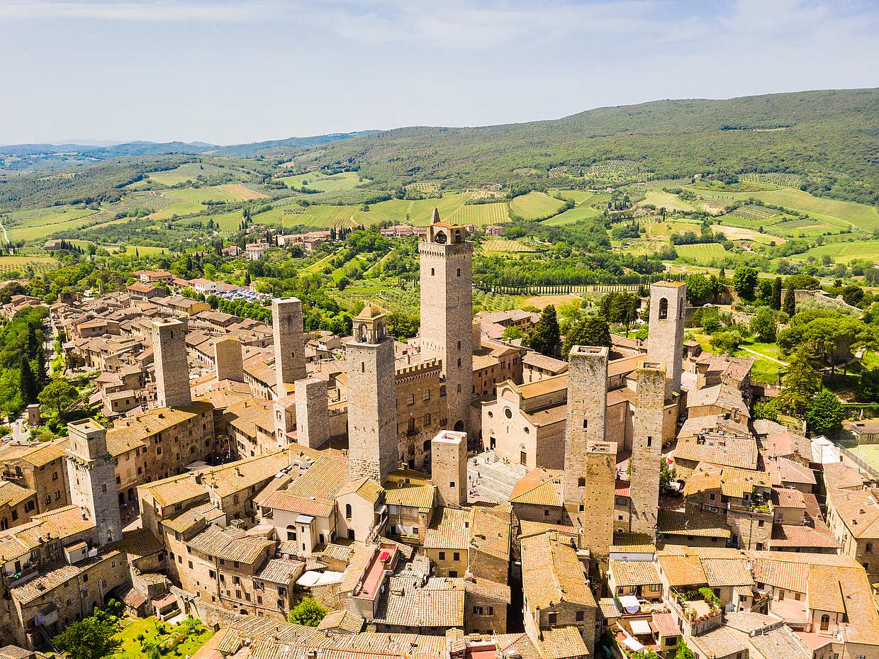 Truffle Hunting, Lunch, Wine and Evo Oil Tasting in San Gimignano, Italy, photo 5