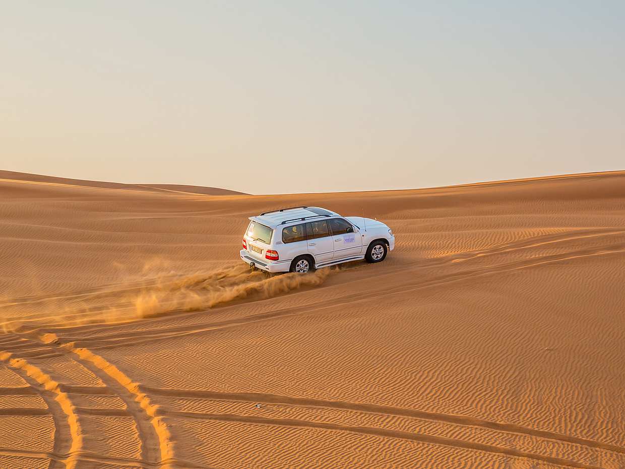 Safari nocturno por el desierto, photo 2