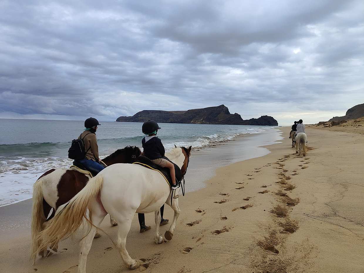 Passeio a cavalo ao pôr-do-sol na Praia da Ilha de Porto Santo, photo 4