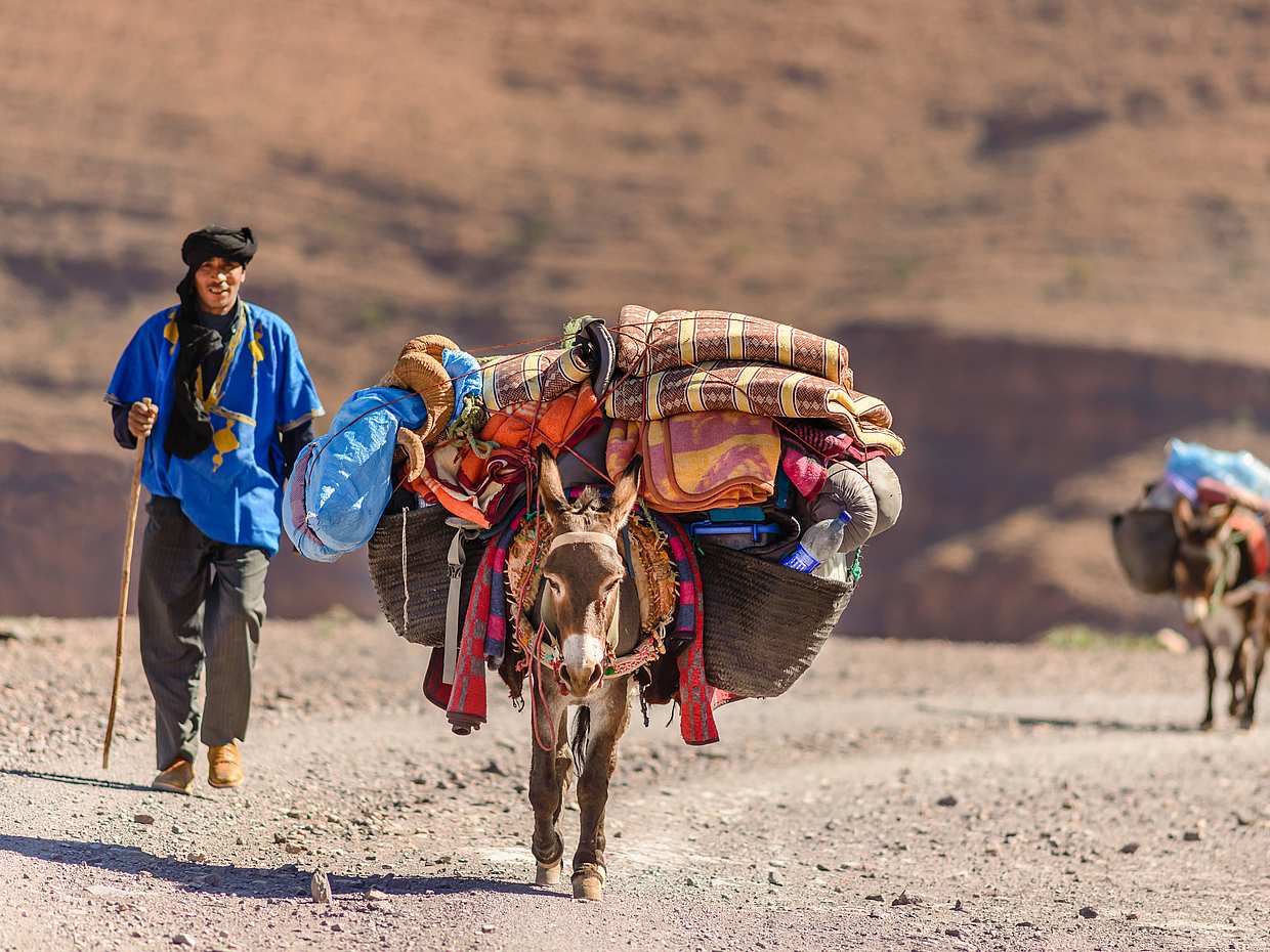 Excursión de un día al valle del Ourika con visita a un pueblo bereber desde Marrakech, photo 2
