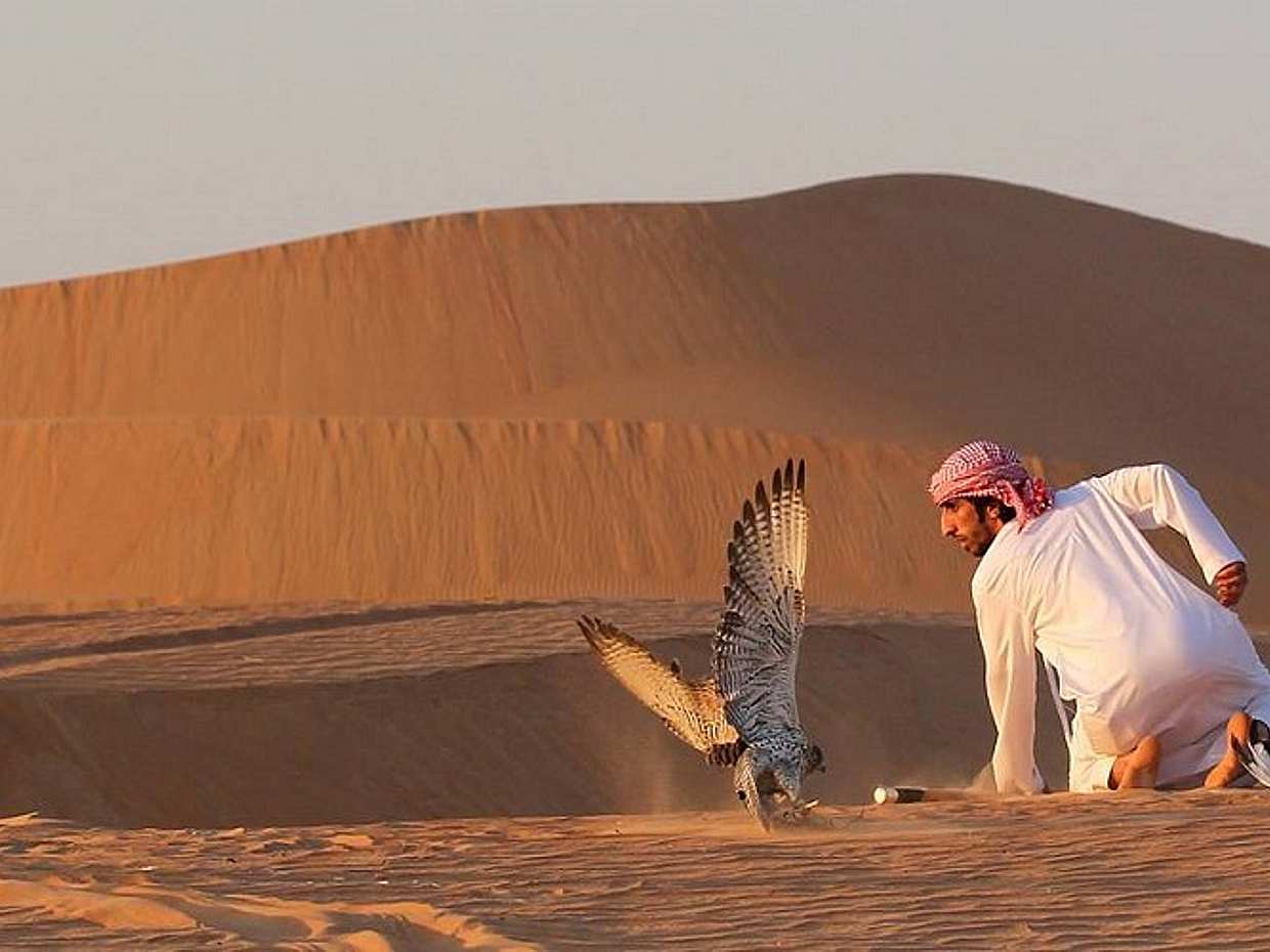 Safari Premium por el desierto de Dubai