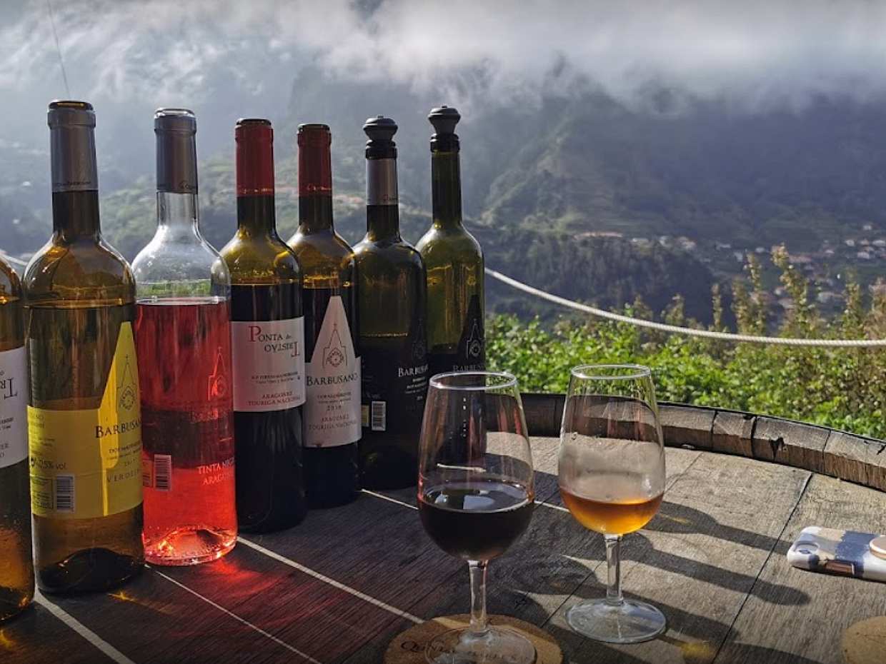 Full-day Wine Tasting Tour with Lunch in the Vineyard in Madeira, Portugal, photo 3