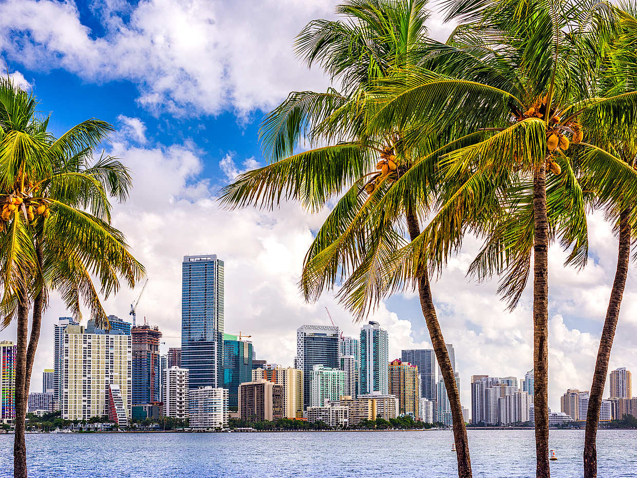 Incredibile giro turistico in autobus e barca a Miami, photo 2