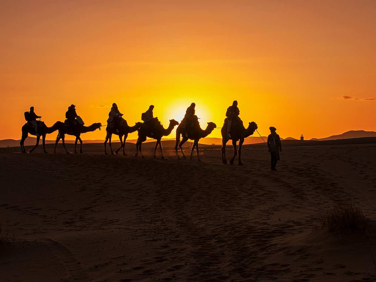 Sunset Camel Ride and Dinner in Agafay Desert