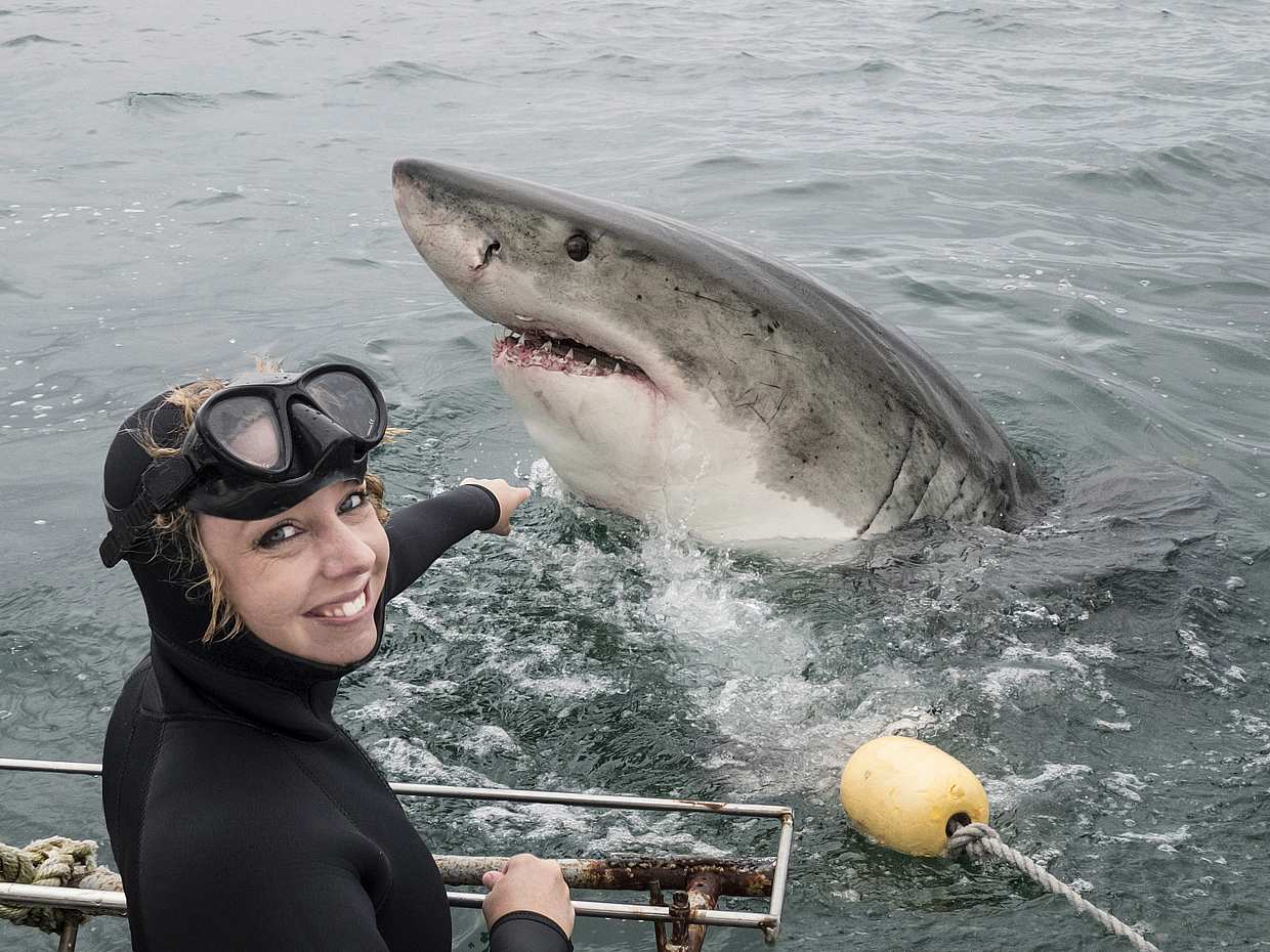 Shark Cage Diving from Cape Town, South Africa, photo 2