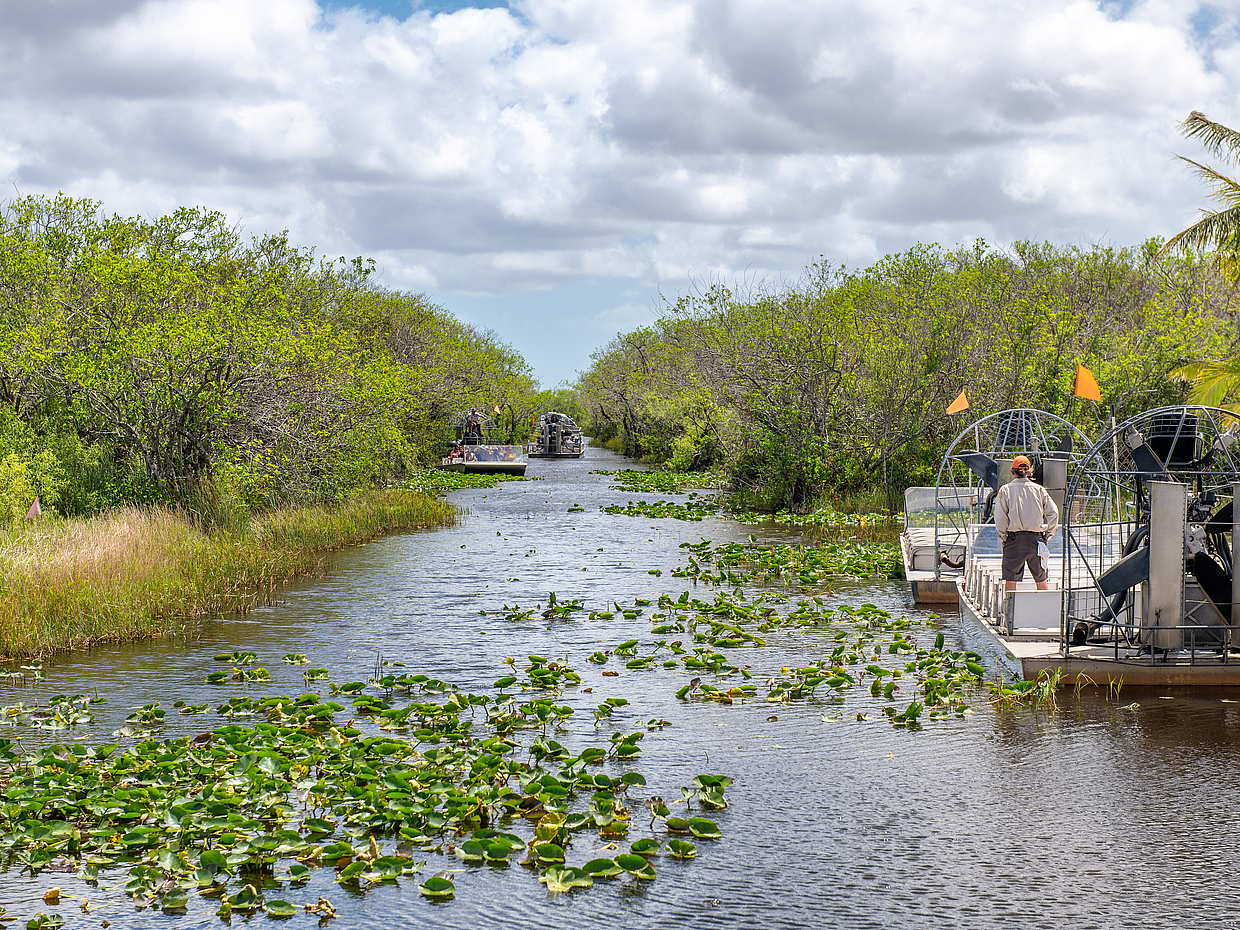 Everglades Holiday Park Tour, photo 5