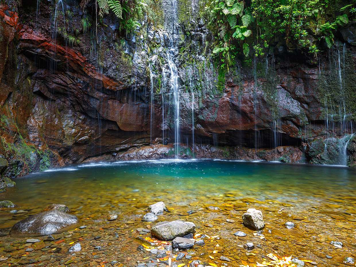 Rabaçal, Risco Waterfall and 25 Fountains Full-day Walking Tour, photo 4