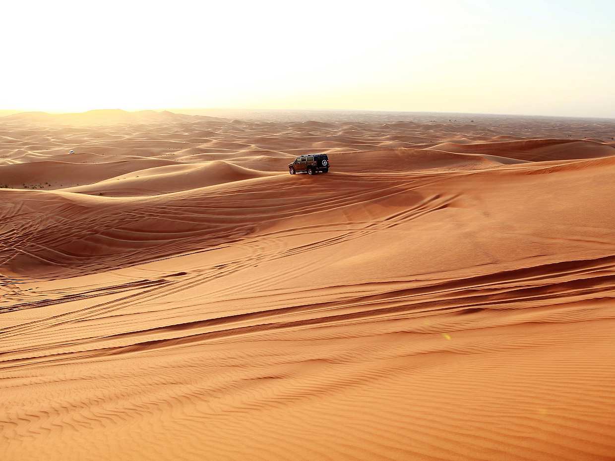 Safari privado matinal por el desierto