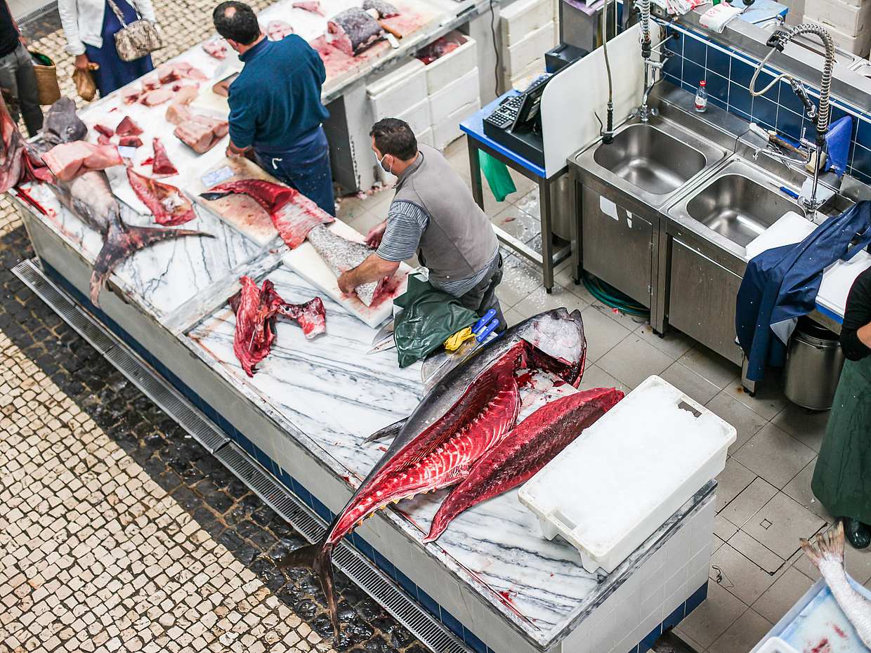 Experiencia de Comida Tradicional de Pescadores en Portugal, Lisboa.
, photo 5