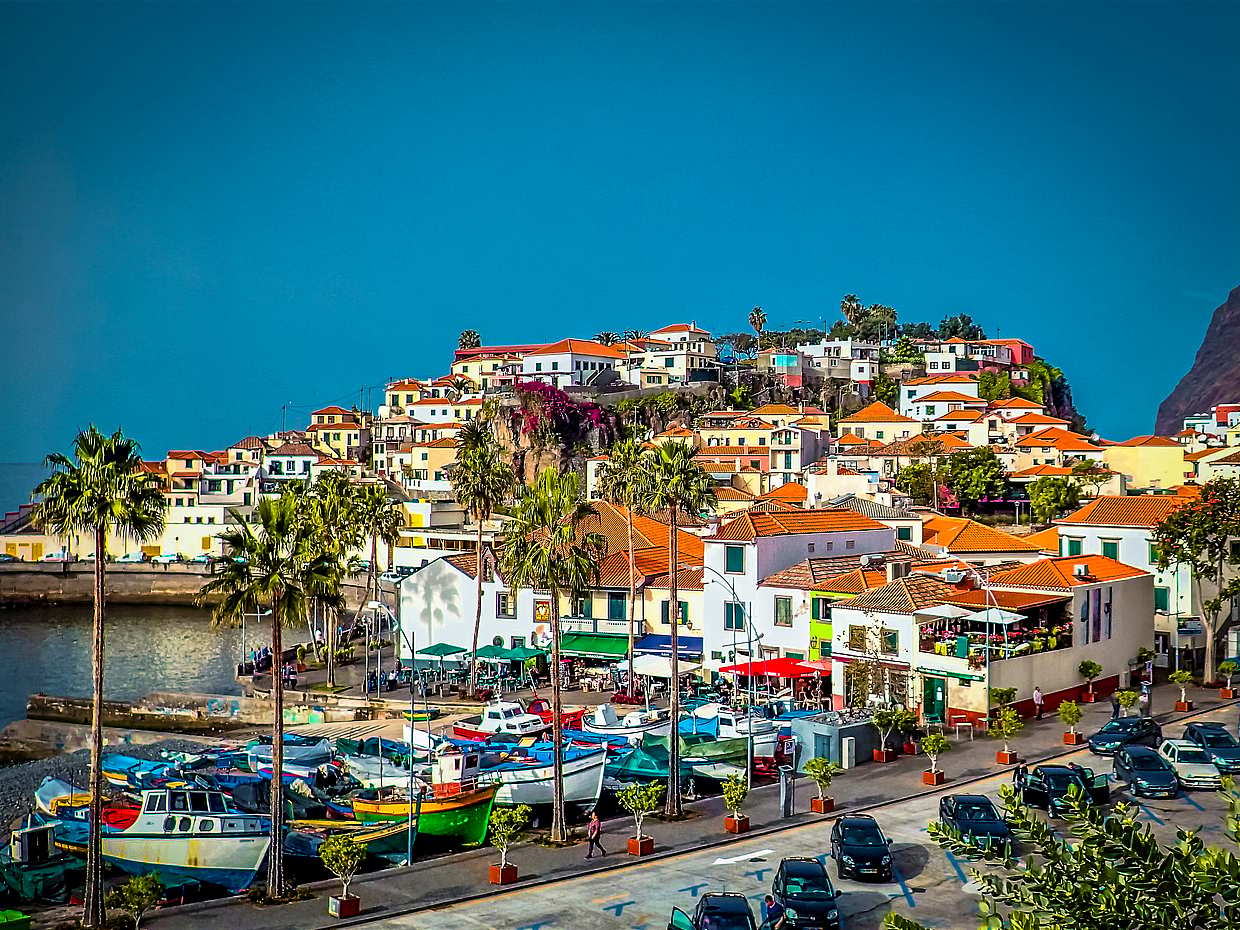 Excursión de medio día en catamarán desde Funchal en Madeira, Portugal, photo 3