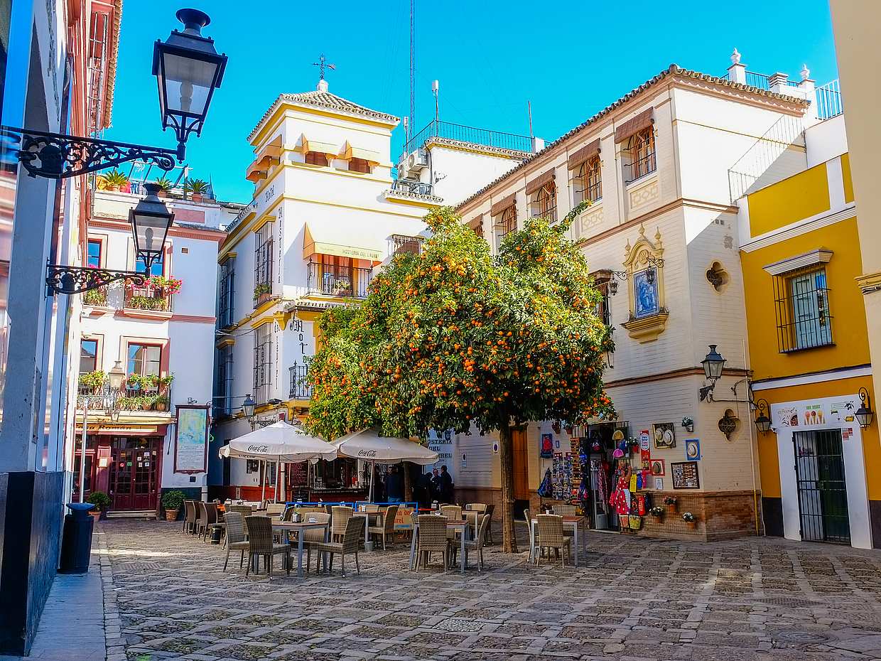 Visita guiada a pie por el centro de Sevilla, photo 2