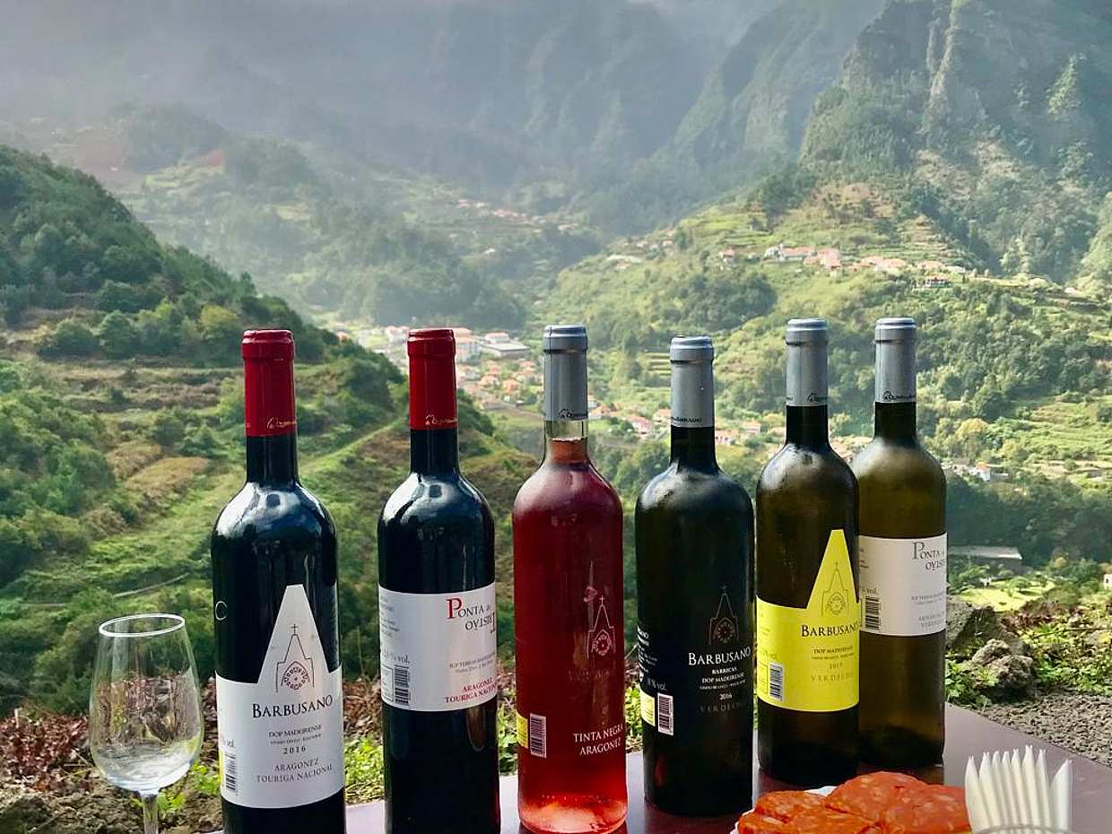 Full-day Wine Tasting Tour with Lunch in the Vineyard in Madeira, Portugal