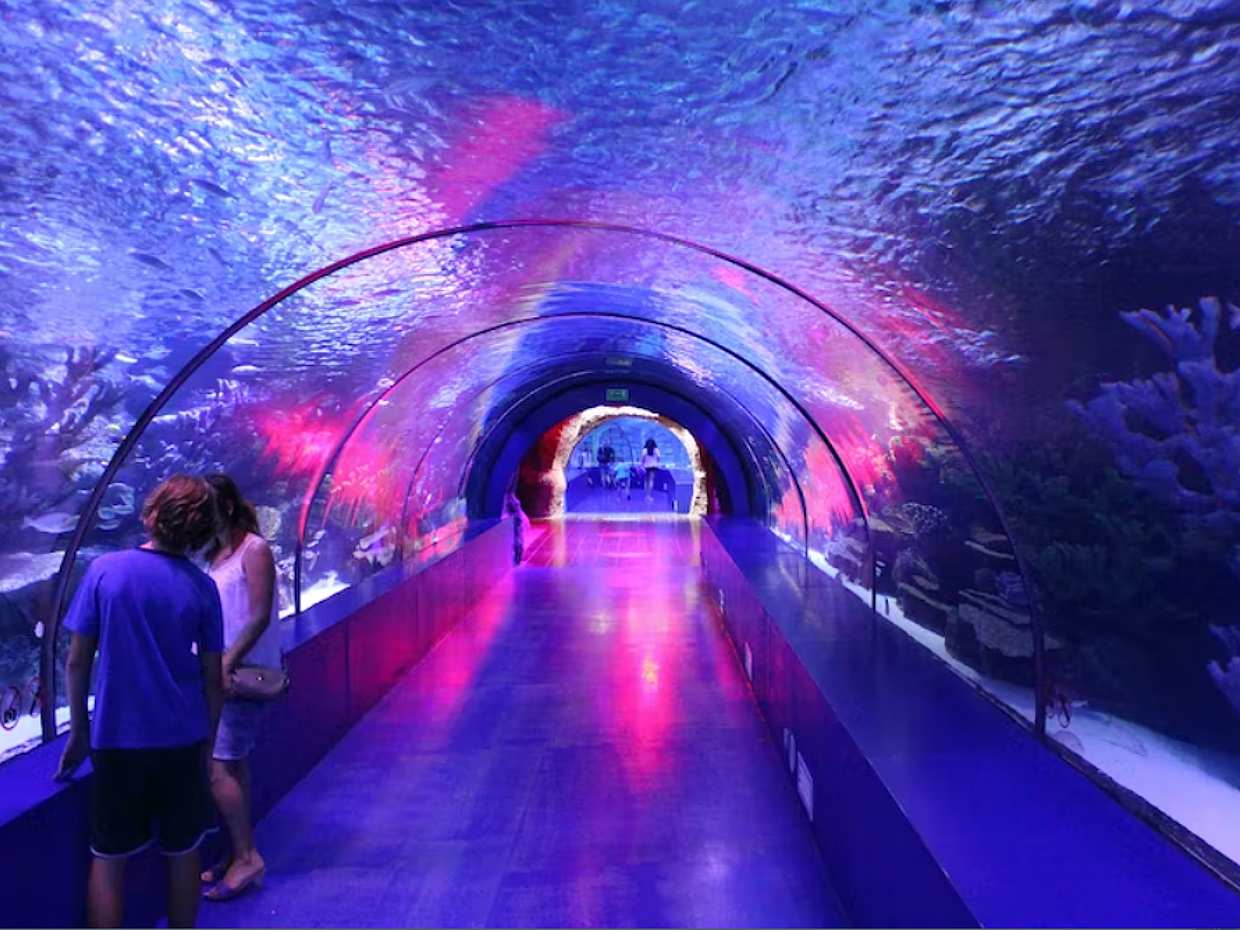 Aquário Antalya com vaivém de Kemer, Türkiye, photo 2