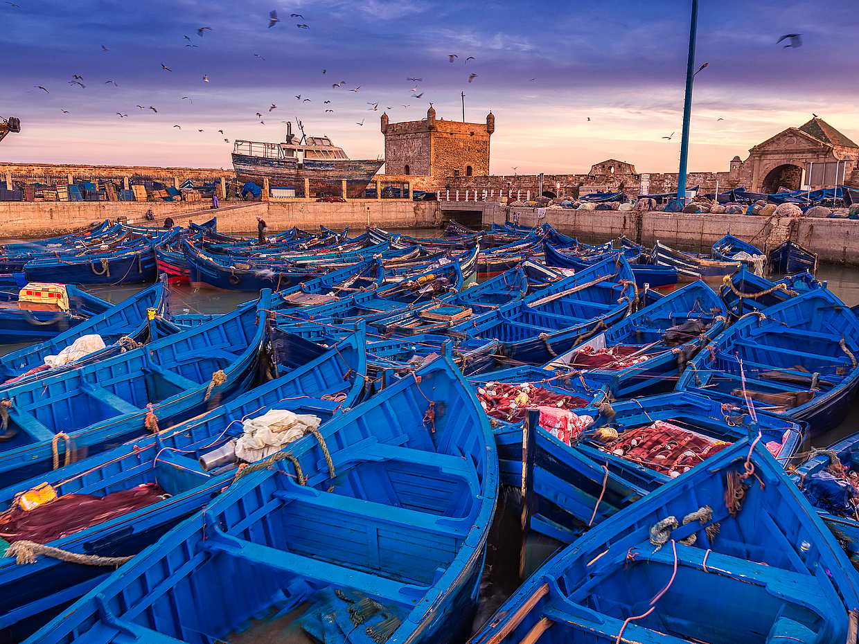 Day Trip to Essaouira from Marrakesh, photo 2
