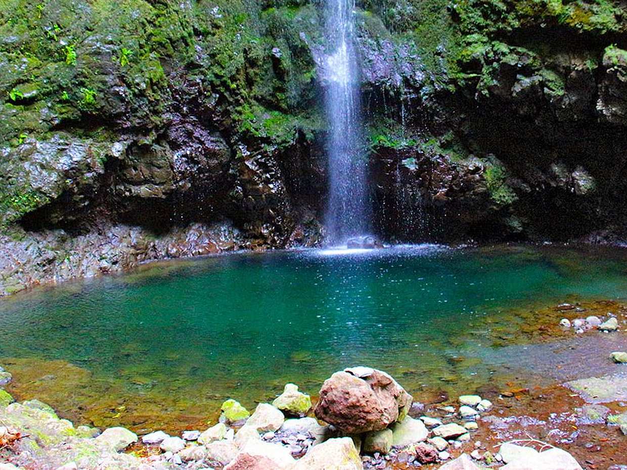 Queimadas, Caldeirão Verde Tam Günlük Yürüyüş Turu, photo 3