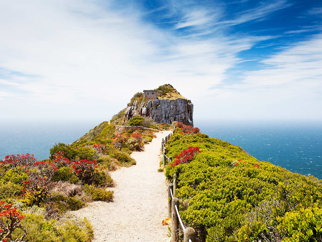 Full Day Cape Peninsula Trike Tour, photo 4