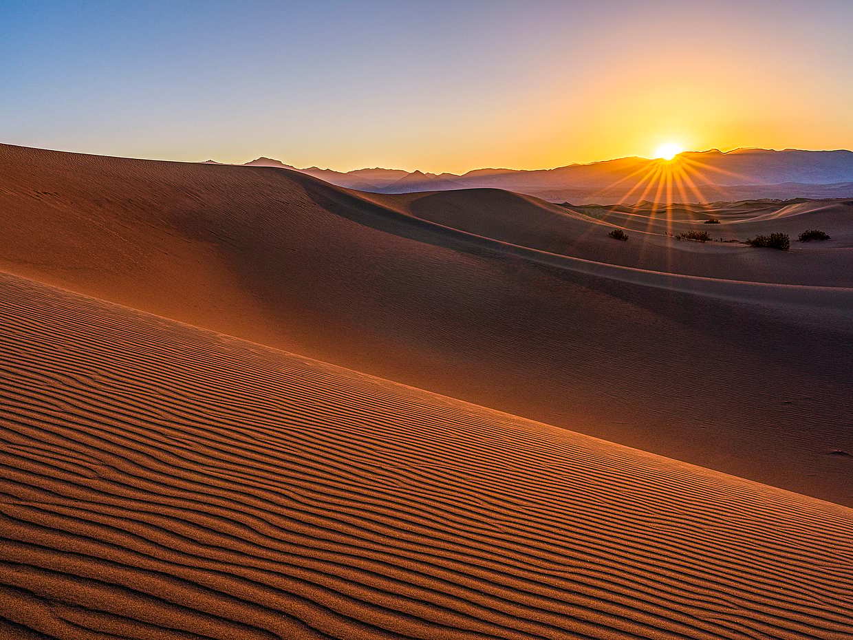 Safari privado matinal por el desierto, photo 2
