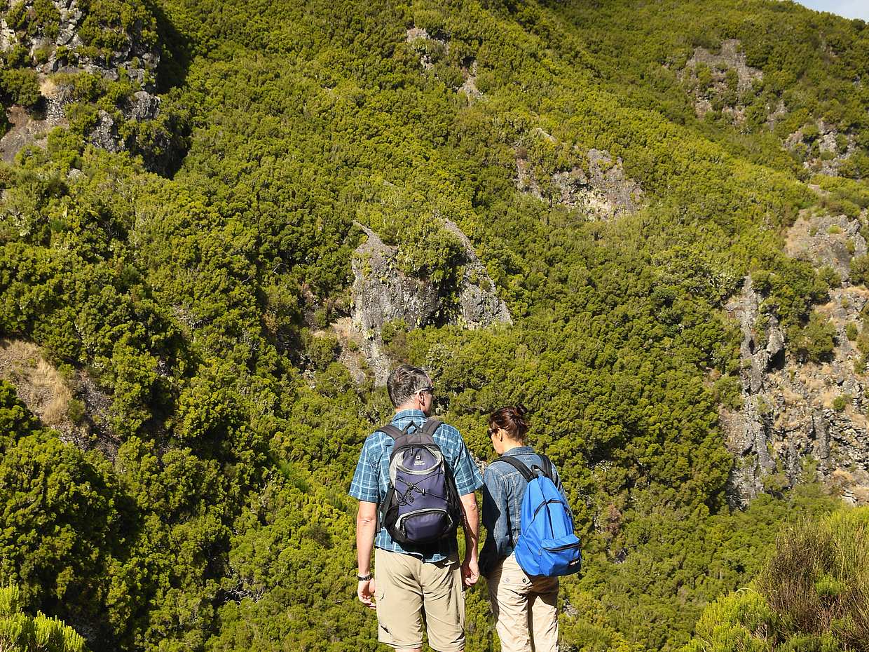 Rabaçal, Risco Waterfall and 25 Fountains Full-day Walking Tour, photo 2