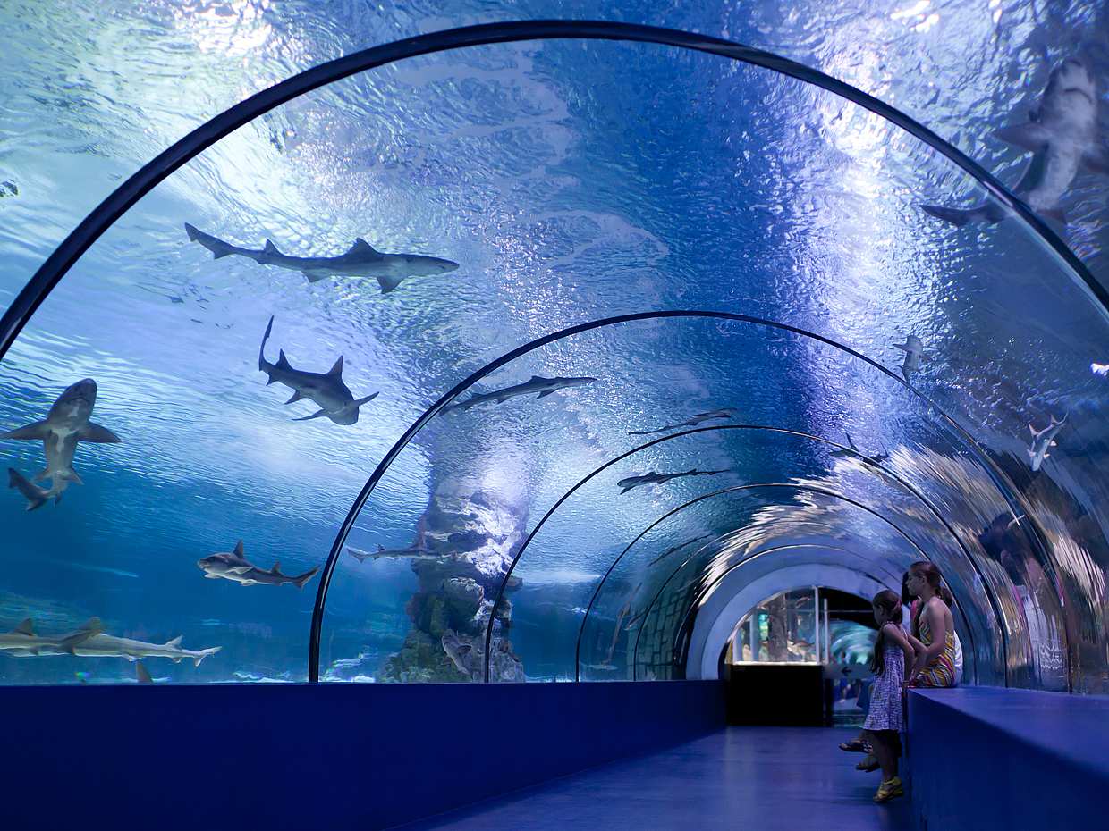 Aquarium Tour von Antalya aus, photo 2