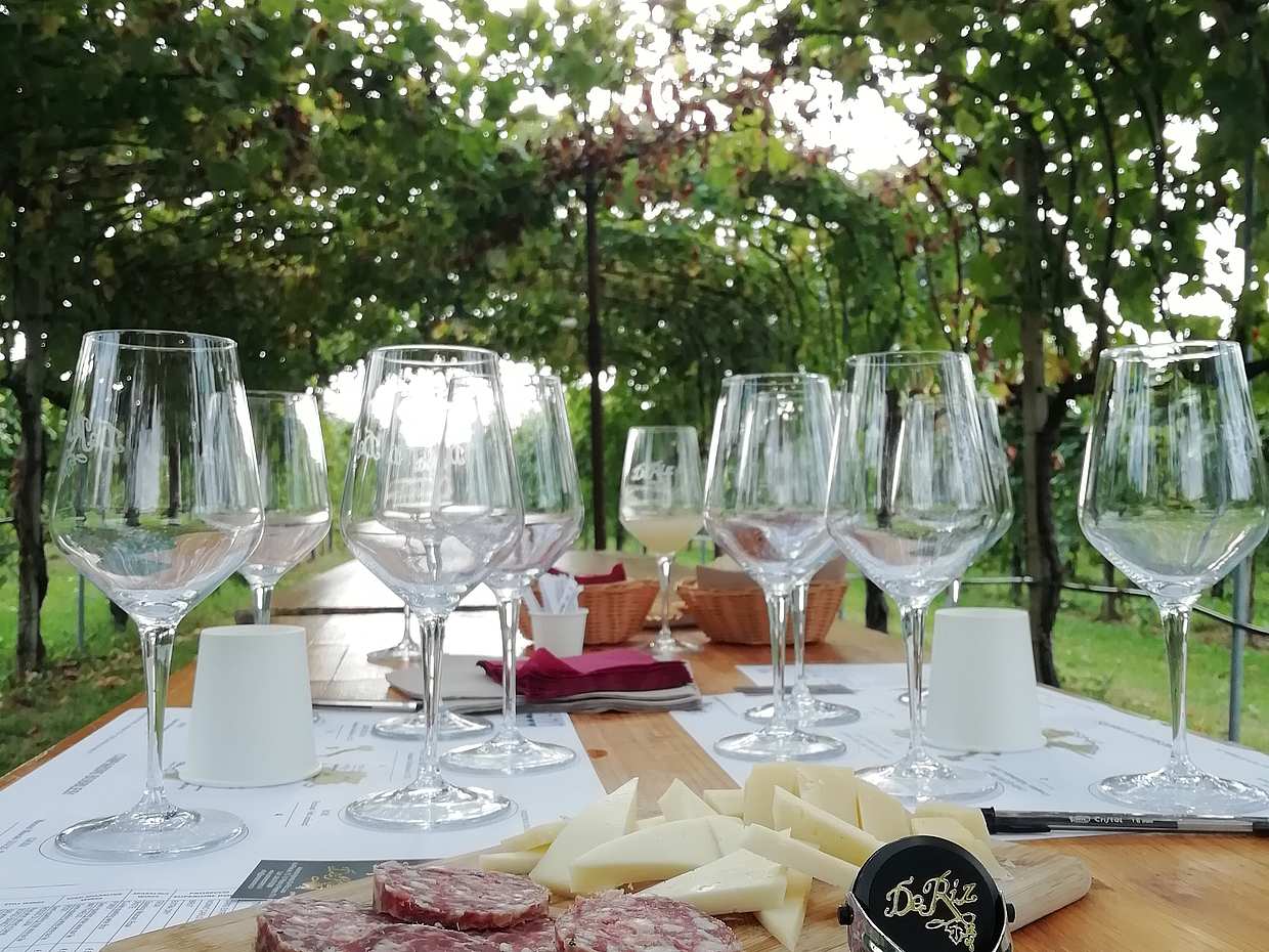 Expérience du Prosecco
