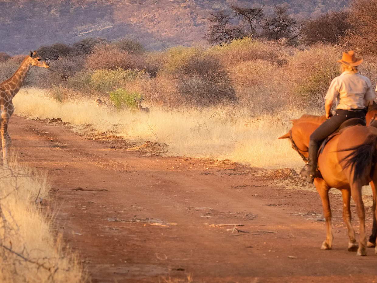 For Couples: Private Horse Riding Safari, photo 2