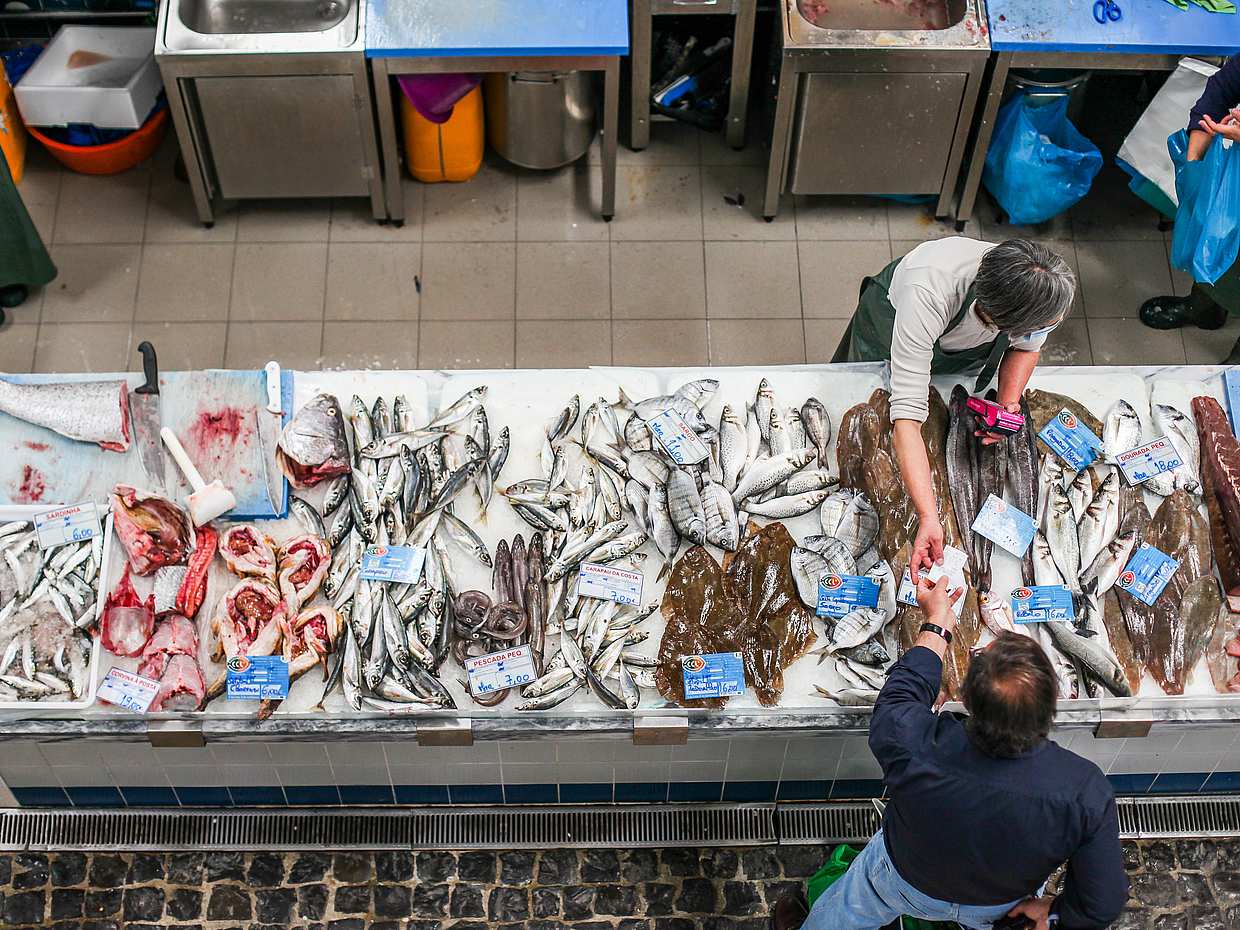 Experiencia de Comida Tradicional de Pescadores en Portugal, Lisboa.
, photo 4