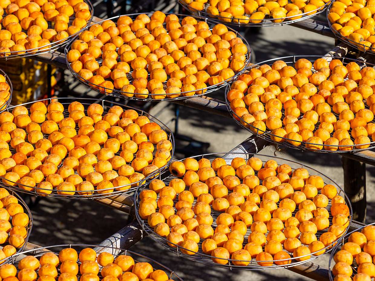 Flavors of Armenia: Aregi Dry Fruit and Eco-Snack Factory, Armenia Wine factory, photo 5