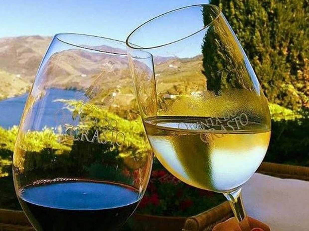 Douro Luxury Private Cruise with Premium Winery and Restaurant Visit, photo 2