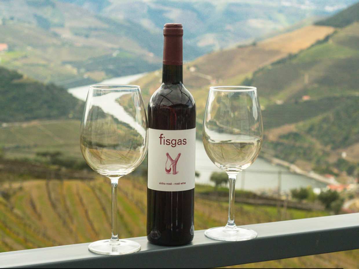Ruta del Vino del Valle del Duero con Barco y Almuerzo, photo 2