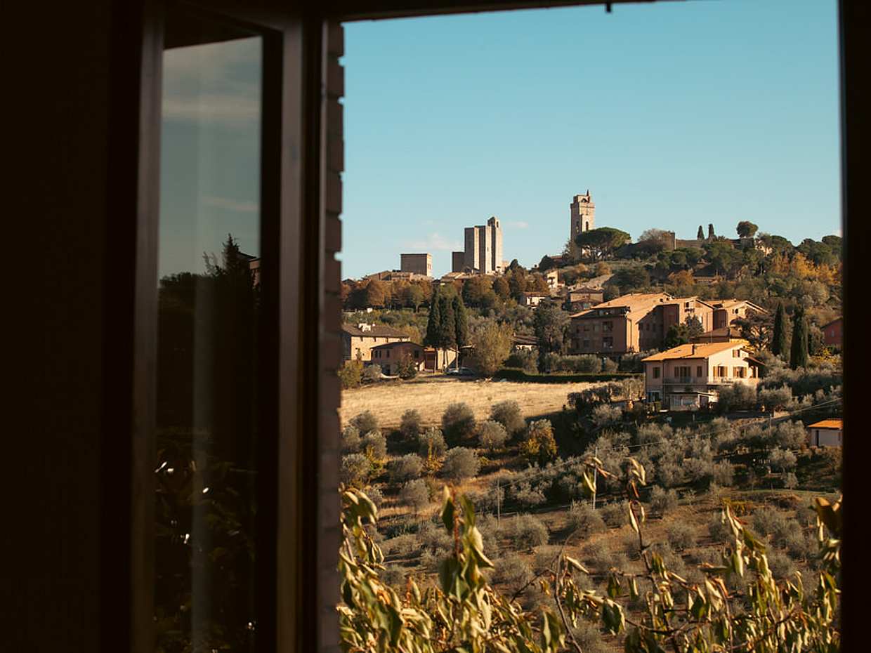 Truffle Hunting, Lunch, Wine and Evo Oil Tasting in San Gimignano, Italy, photo 3
