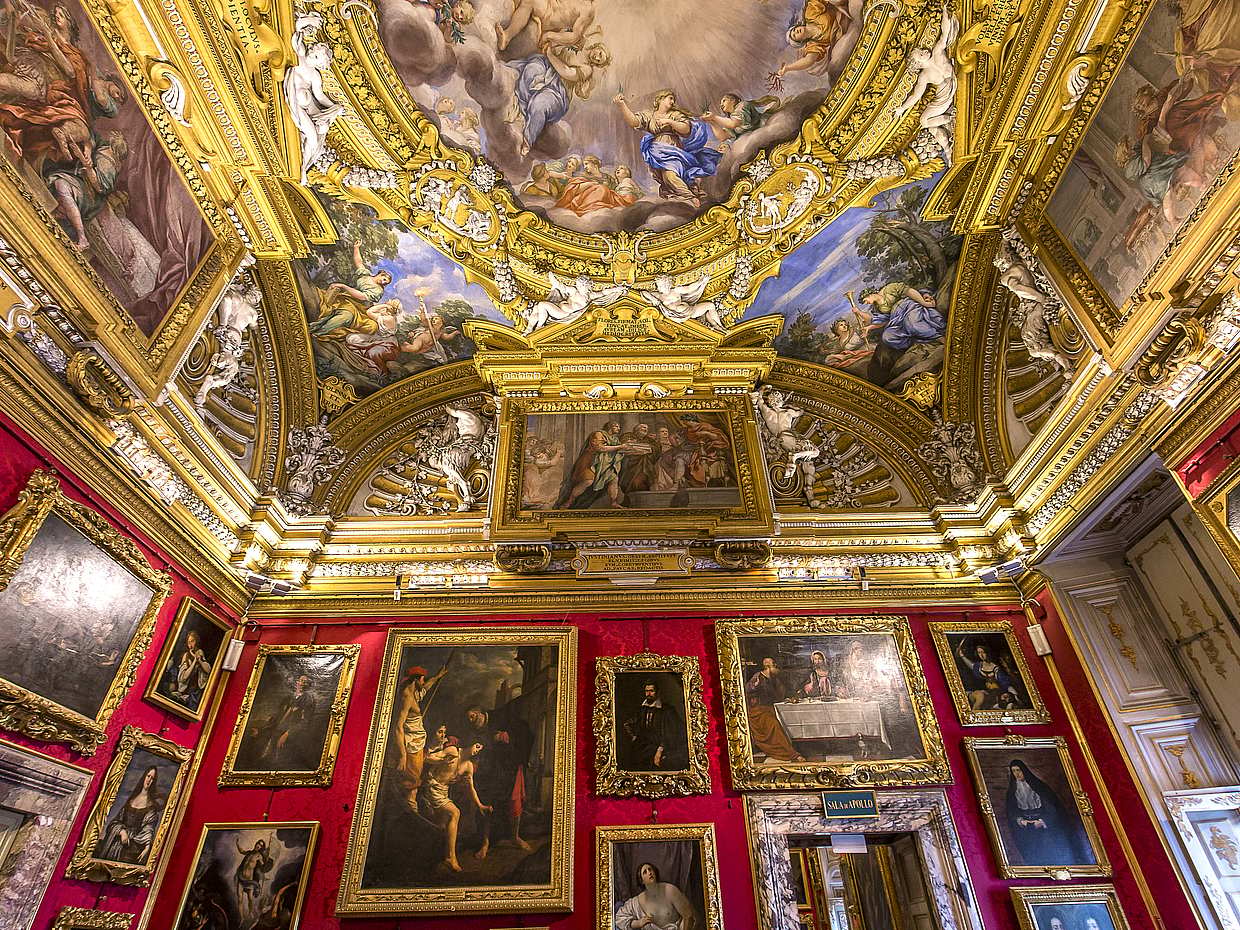 Pitti Palace, Palatina Gallery and Medici Tour in Florence, photo 2