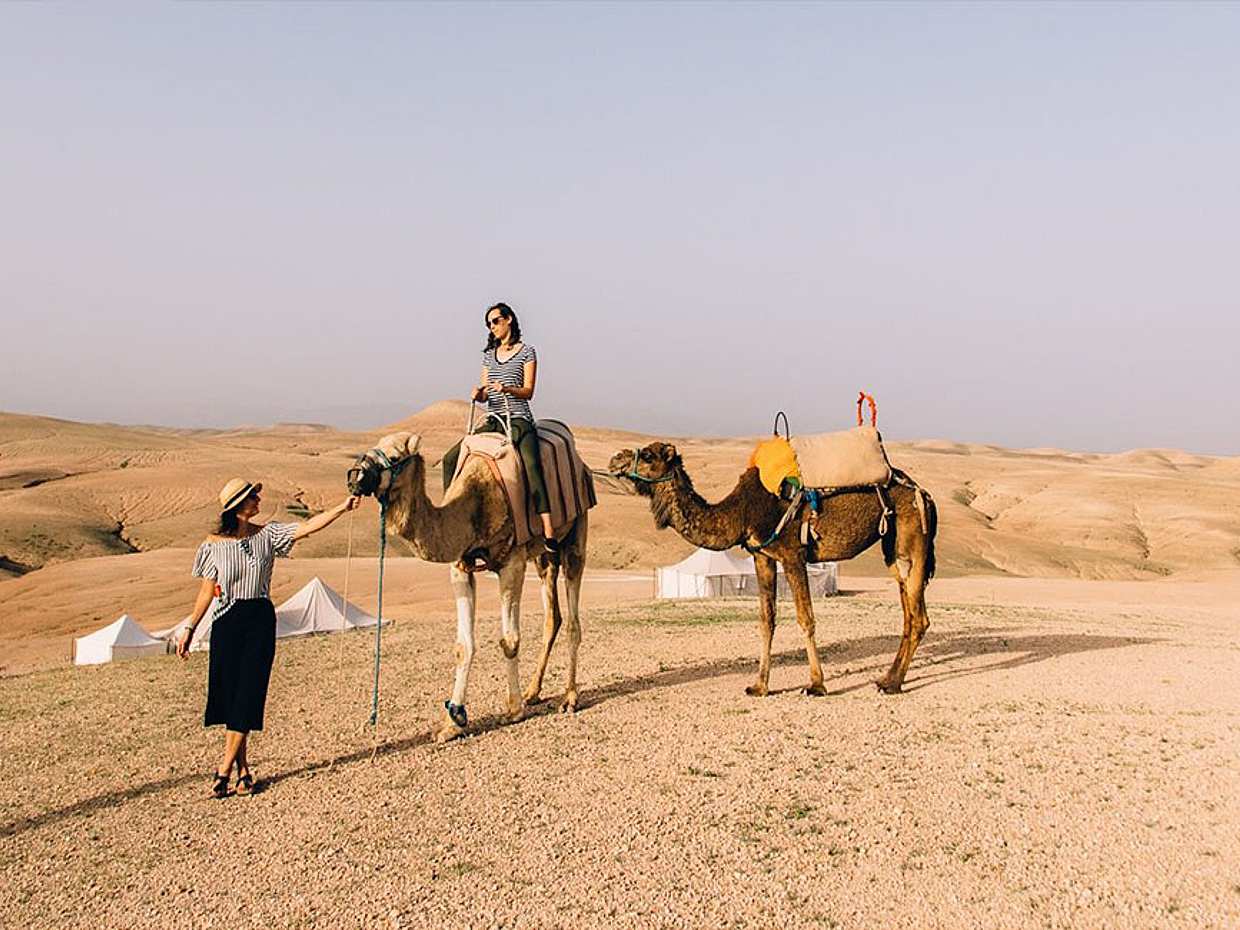 Sunset Camel Ride and Dinner in Agafay Desert, photo 4