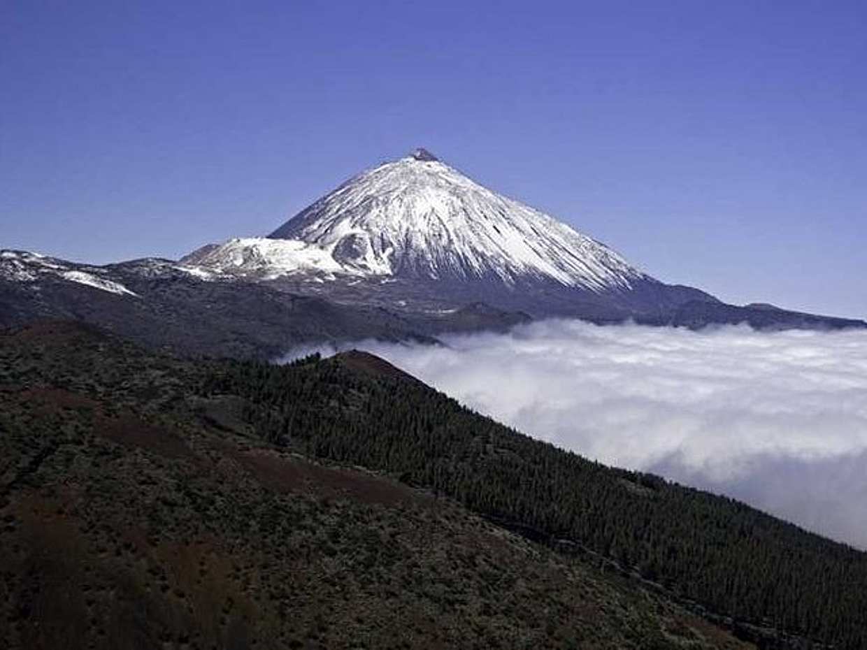Private Excursions for Cruises, photo 4
