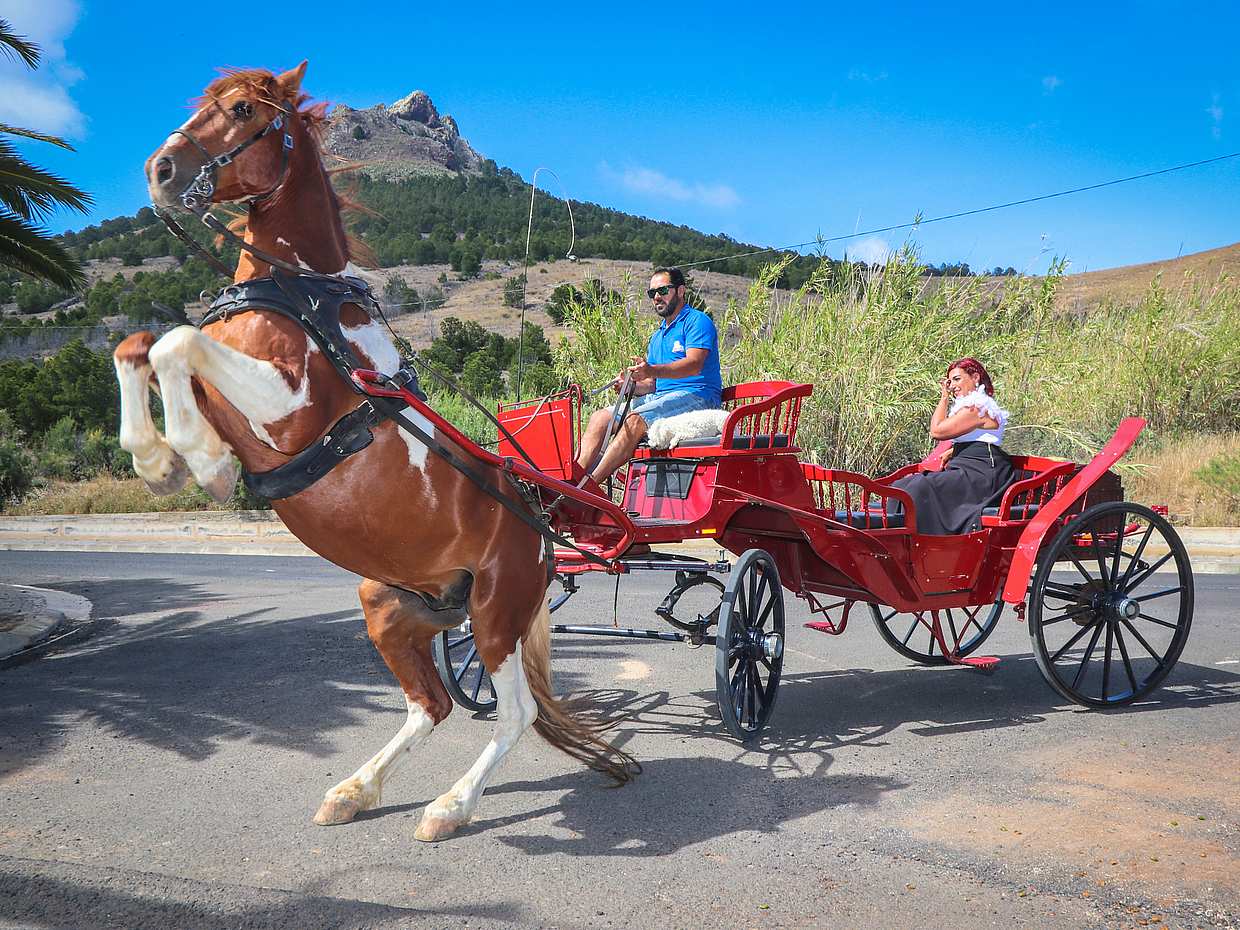 Passeio a cavalo ao pôr-do-sol na Praia da Ilha de Porto Santo, photo 2