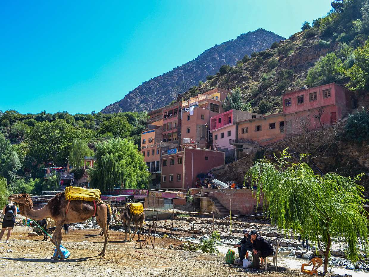 Experience Atlas Mountains & Cooking Class at Berber house, photo 3