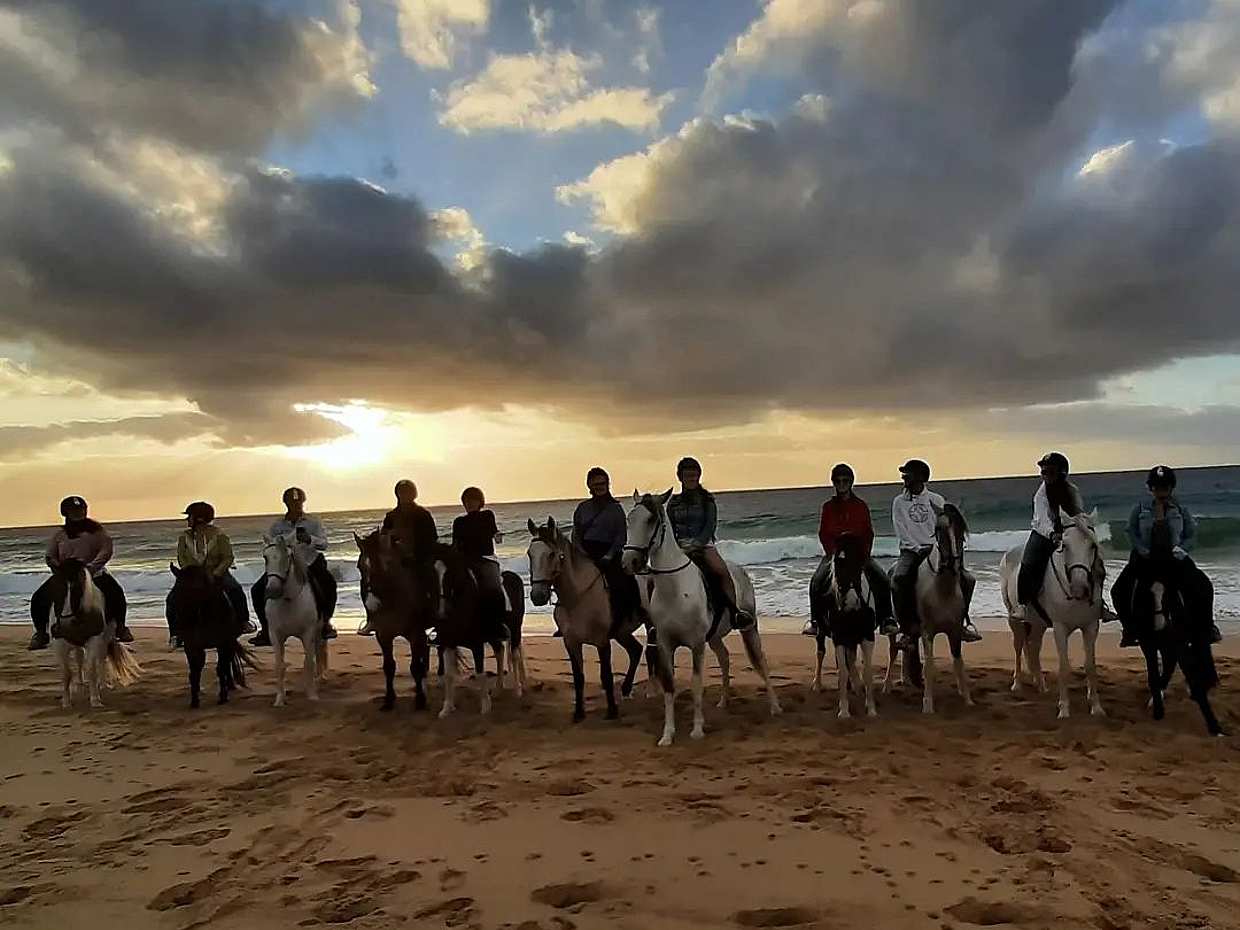 Passeio a cavalo ao pôr-do-sol na Praia da Ilha de Porto Santo, photo 3