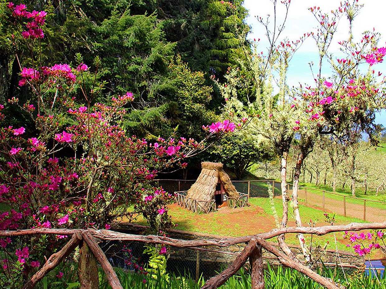 Queimadas, Caldeirão Verde Tam Günlük Yürüyüş Turu, photo 2
