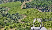 Photo 4 Northern Lisbon Wine Tasting